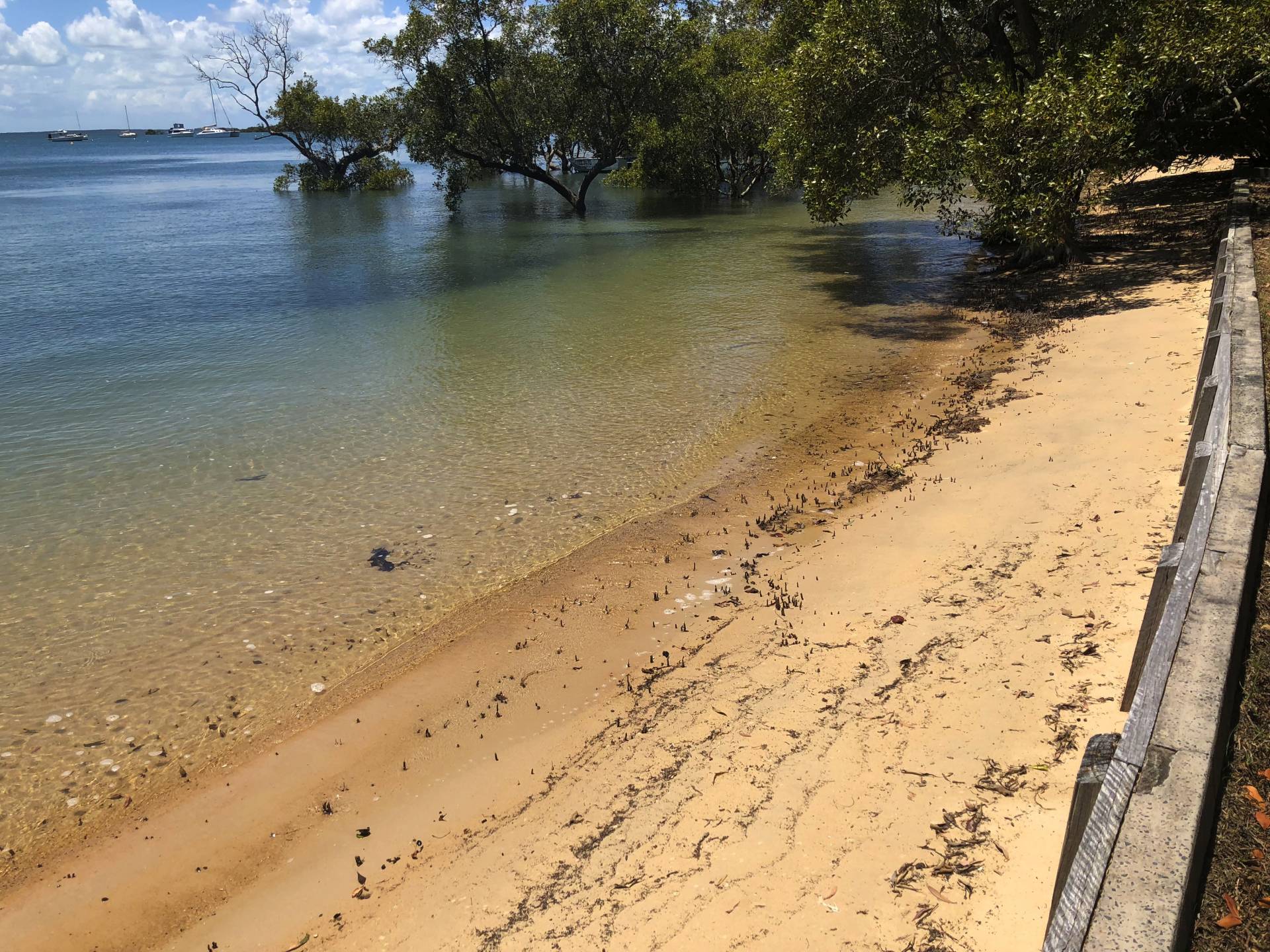 50 Attunga St, Macleay Island, Macleay Island - Thumbnail 4