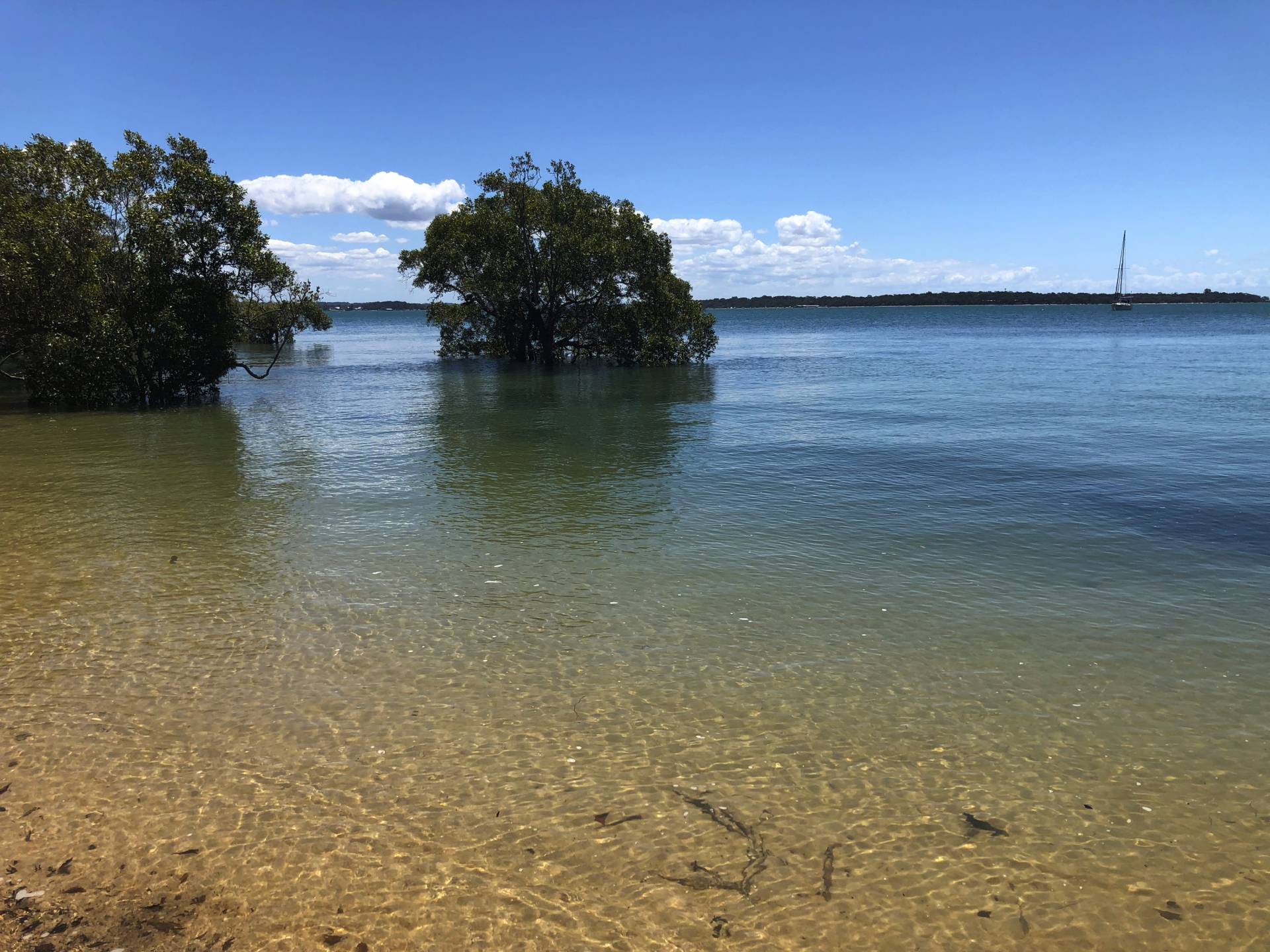 50 Attunga St, Macleay Island, Macleay Island - Thumbnail 8