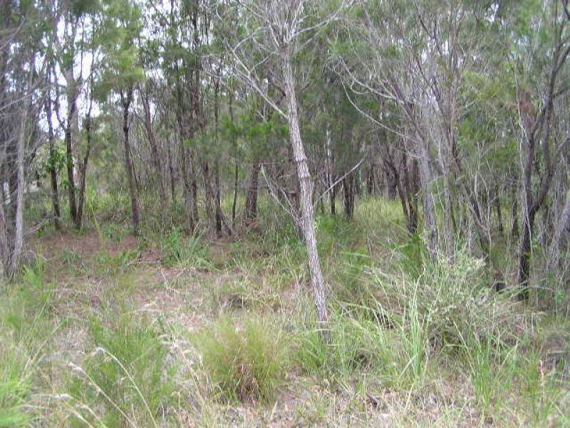 12 Emita Street, Macleay Island, Macleay Island - Thumbnail 4