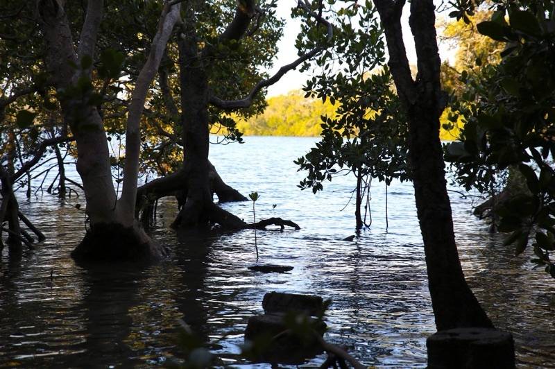 2 Keith St, Macleay Island, Macleay Island - Thumbnail 8