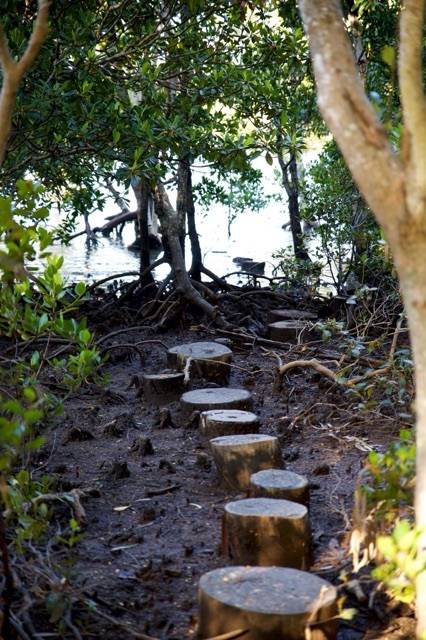 2 Keith St, Macleay Island, Macleay Island - Thumbnail 4