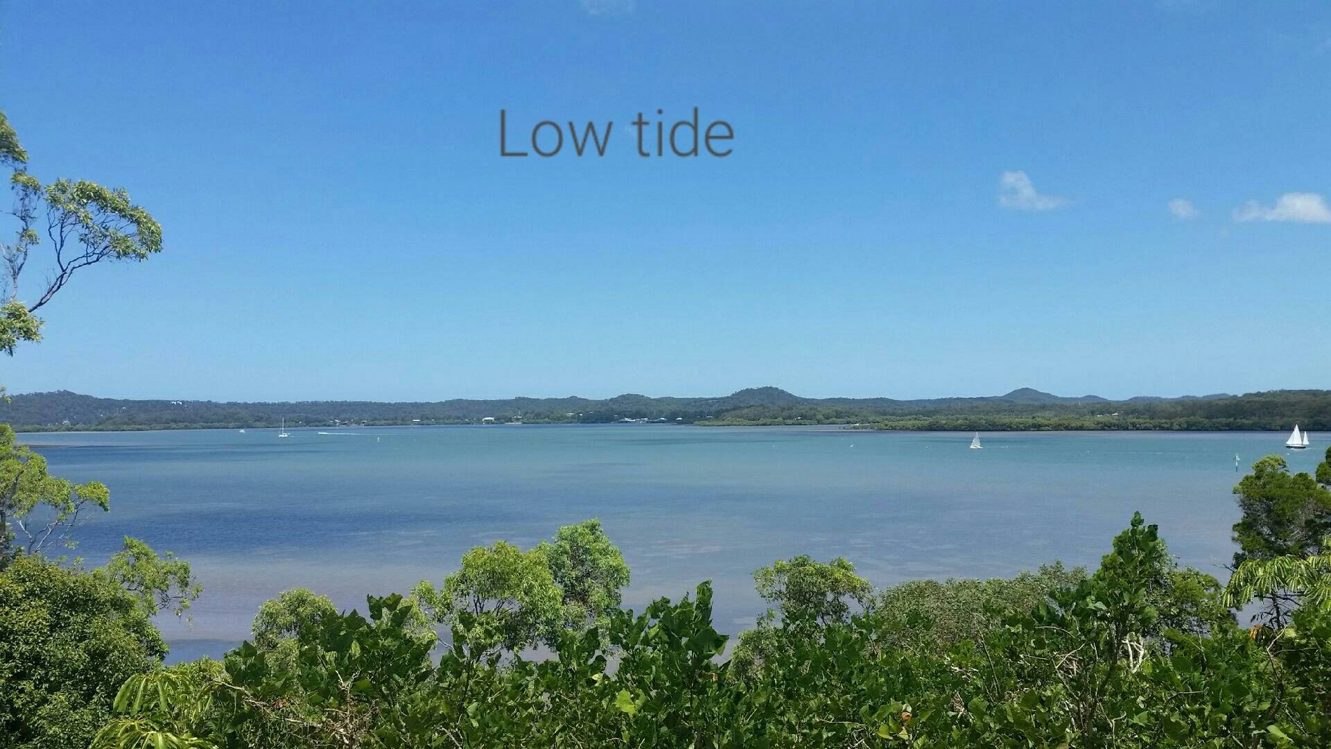 32 Tina Ave, Lamb Island, Lamb Island - Thumbnail 4