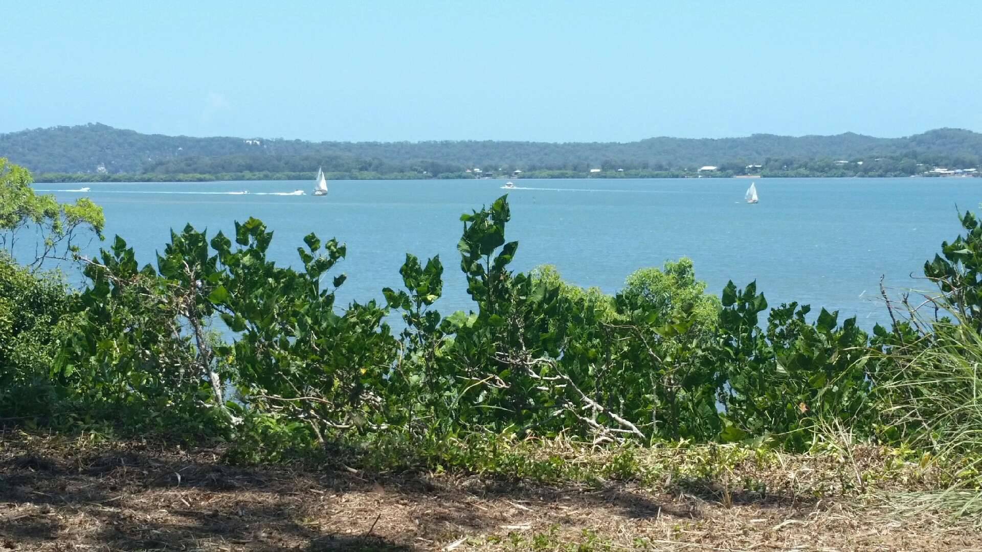 32 Tina Ave, Lamb Island, Lamb Island - Thumbnail 5