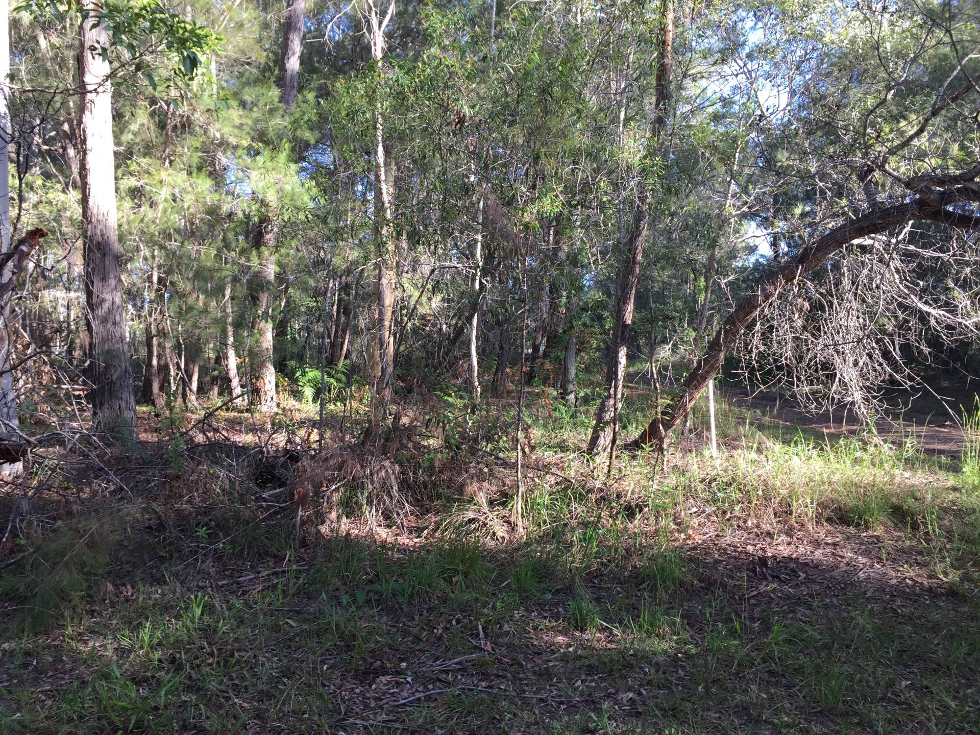 12, Avera Road, Russell Island, Russell Island - Thumbnail 6