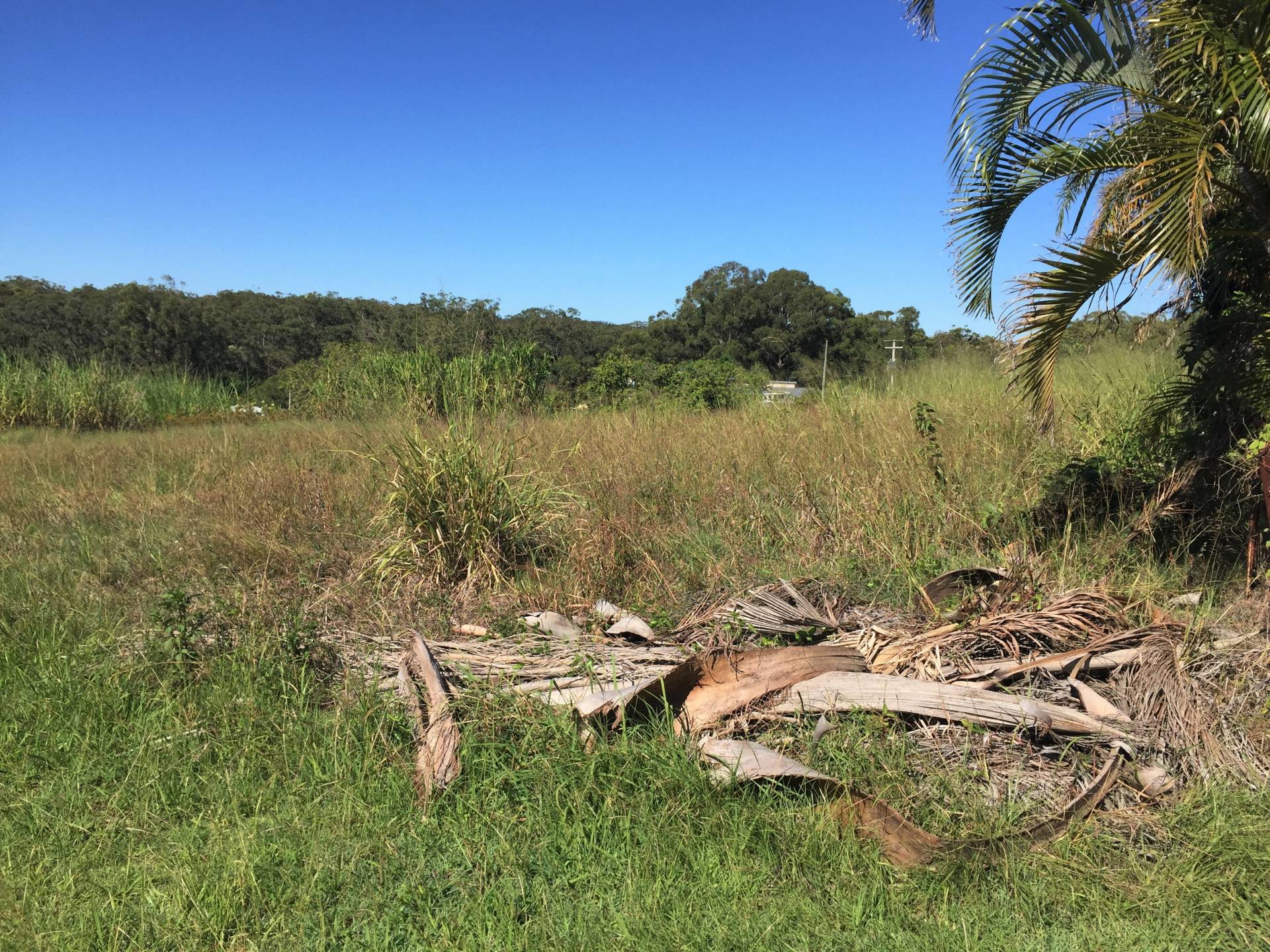 14 Pharlap St, Russell Island, Russell Island - Thumbnail 8