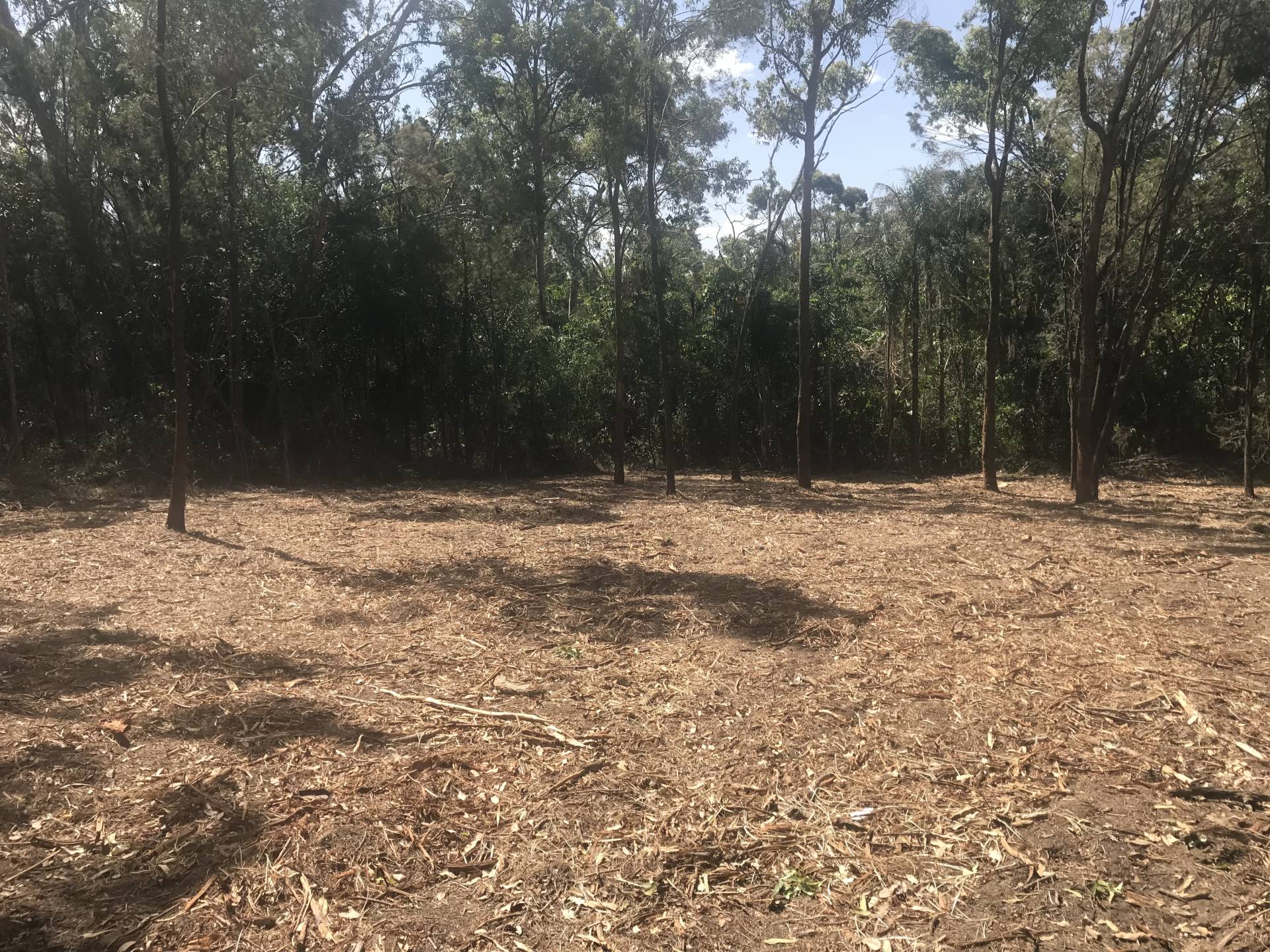 33 Francis Rd, Macleay Island, Macleay Island - Thumbnail 2