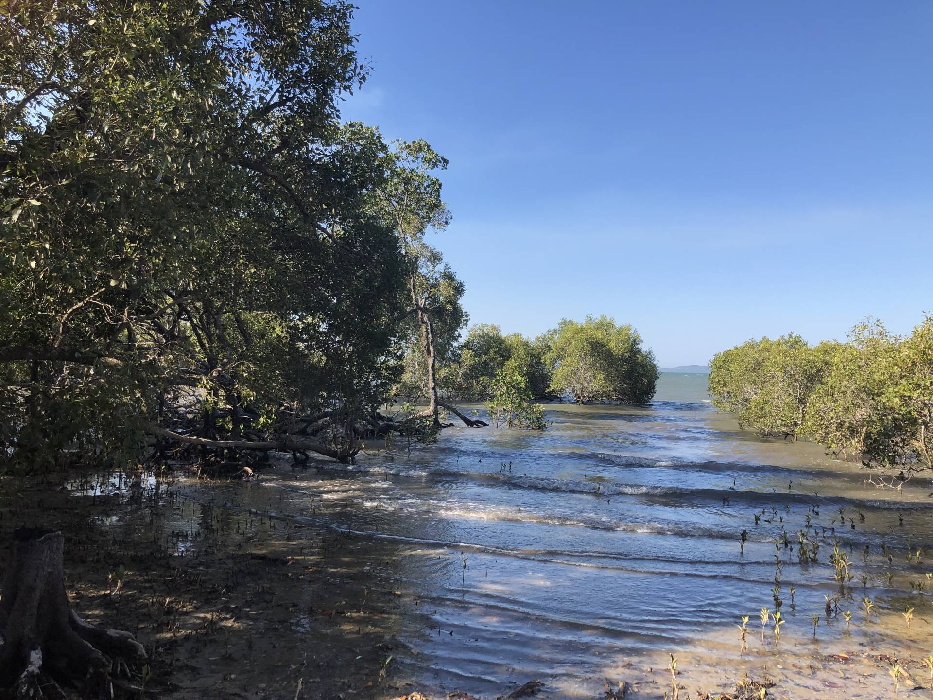 29 Calm Waters Creescent, Macleay Island, Macleay Island - Thumbnail 8