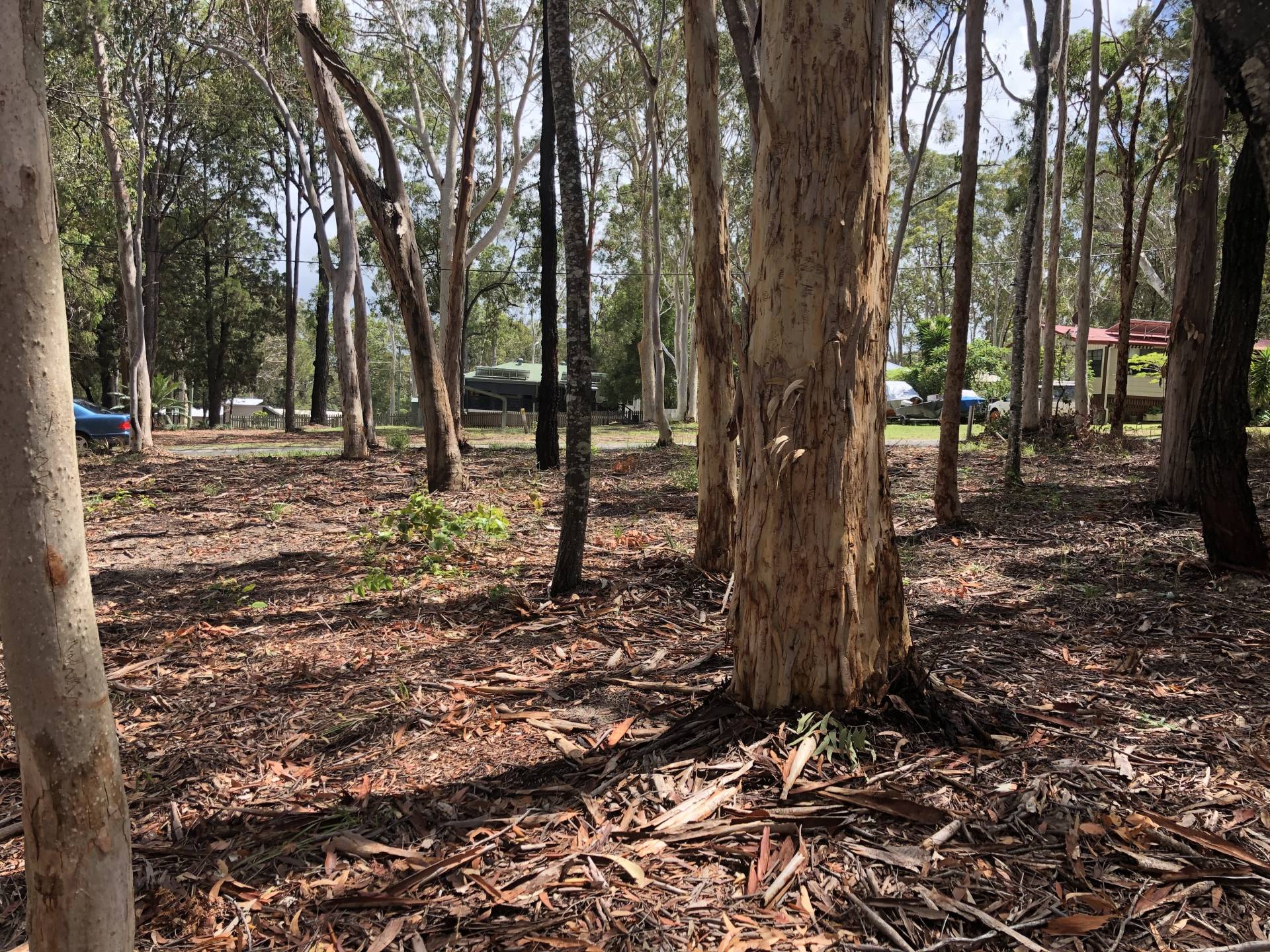 4 Baracoota St, Macleay Island, Macleay Island - Thumbnail 2