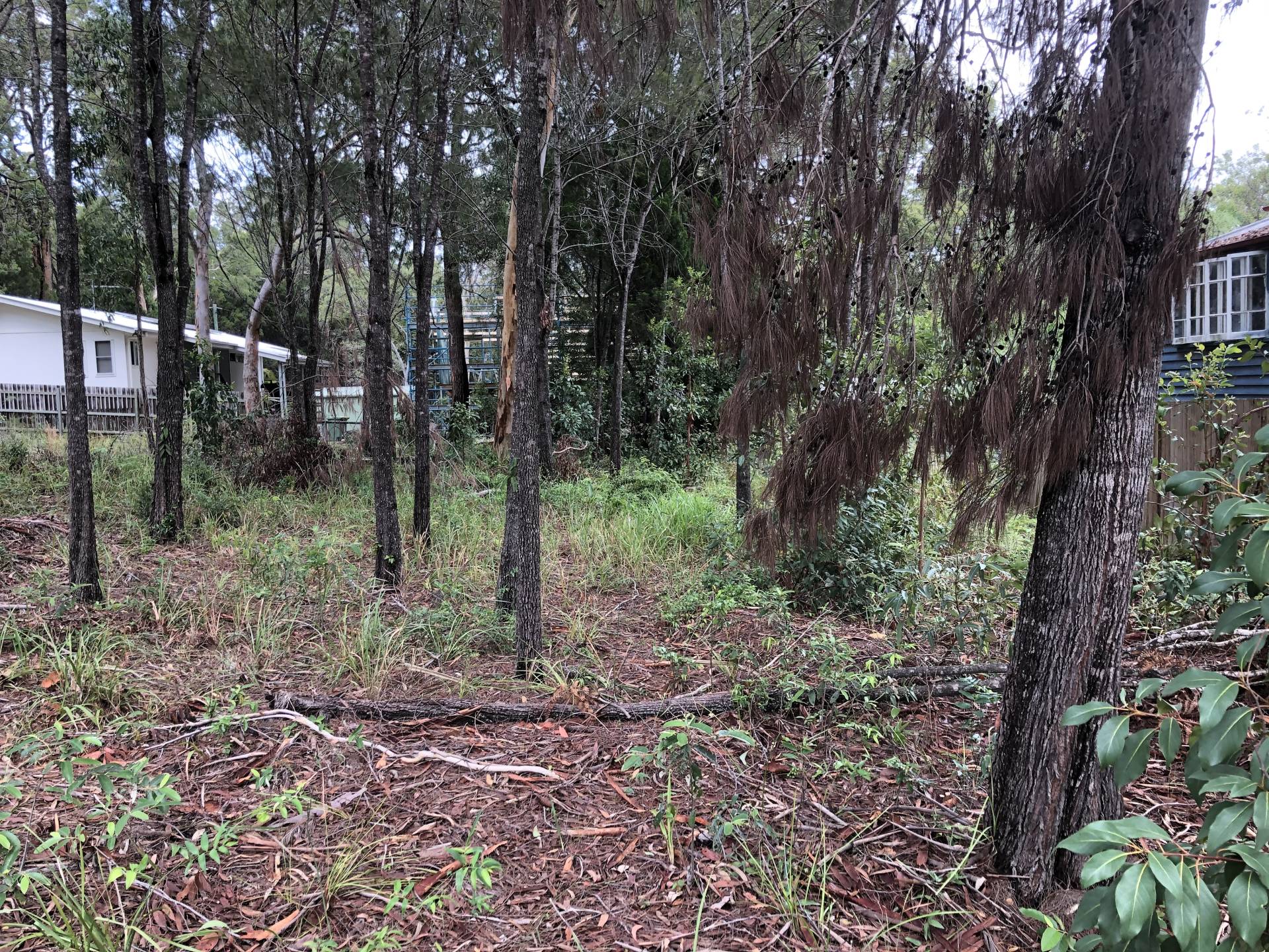 16 Panaroo St, Macleay Island, Macleay Island - Thumbnail 2