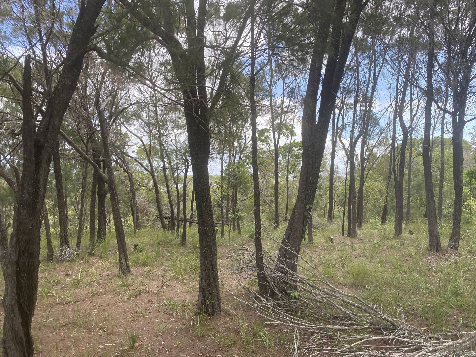 10 Emita St, Macleay Island, Macleay Island - Thumbnail 2