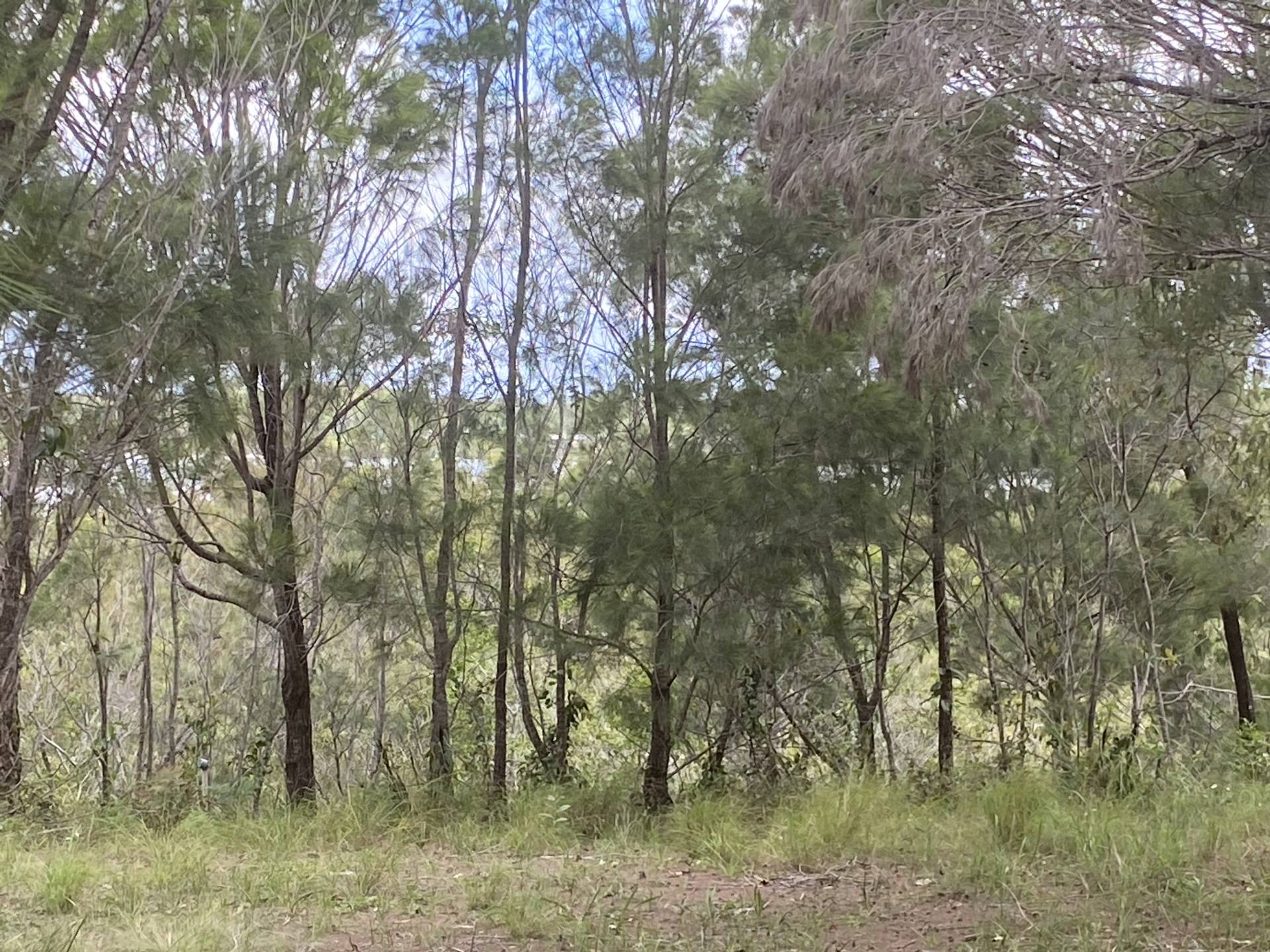 10 Emita St, Macleay Island, Macleay Island - Thumbnail 3