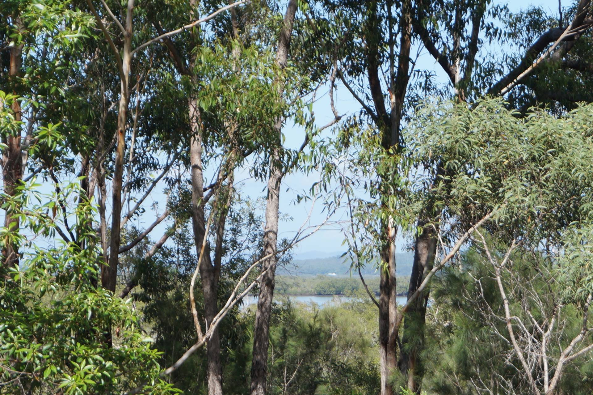 26 Deenya Pde, Russell Island, Russell Island - Thumbnail 3