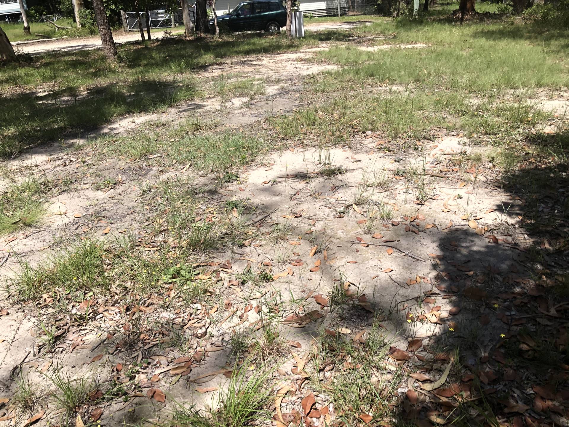 21 Cathy St, Macleay Island, Macleay Island - Thumbnail 4