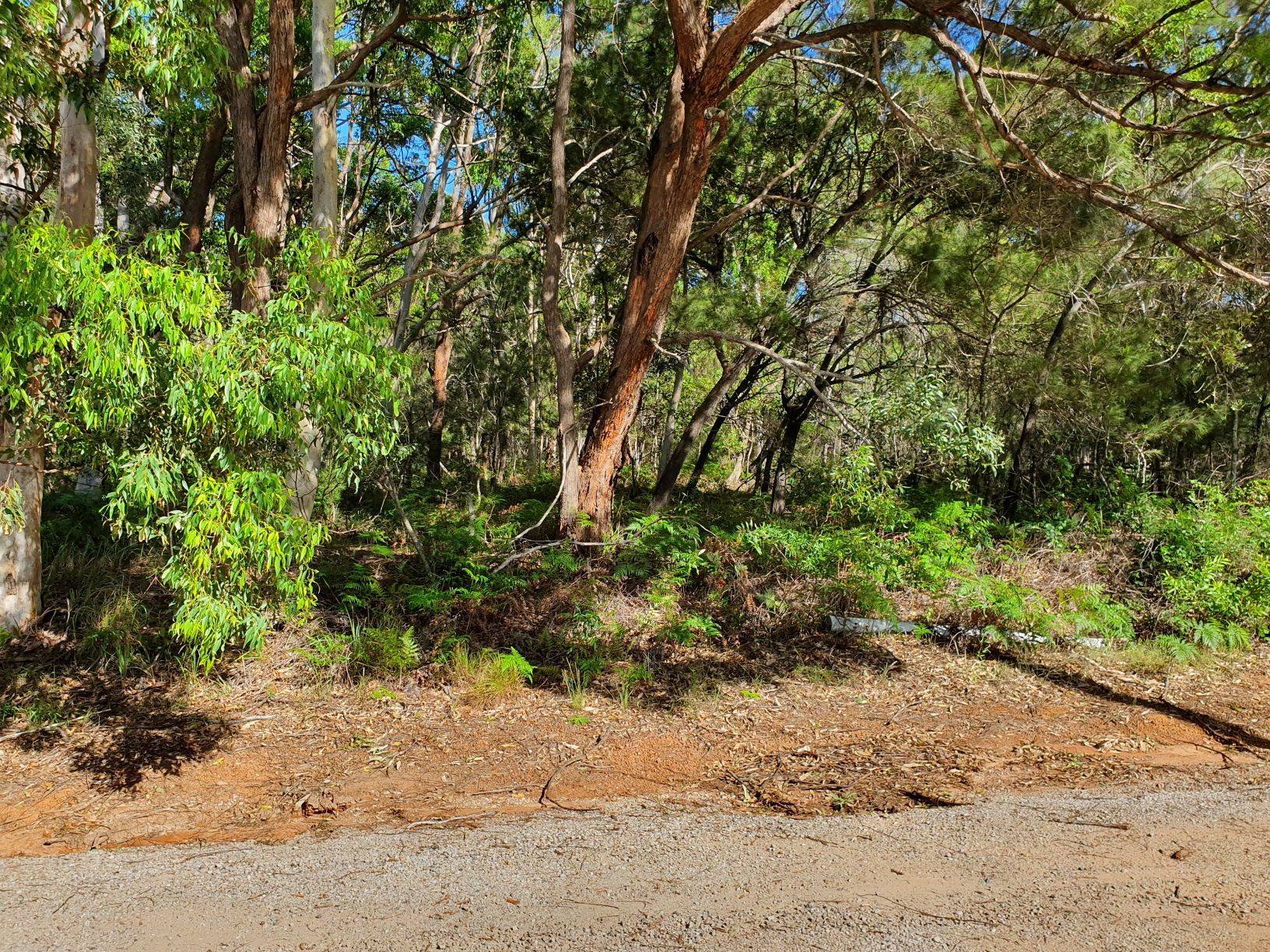 14 Calwood Crescent, Russell Island, Russell Island - Thumbnail 5