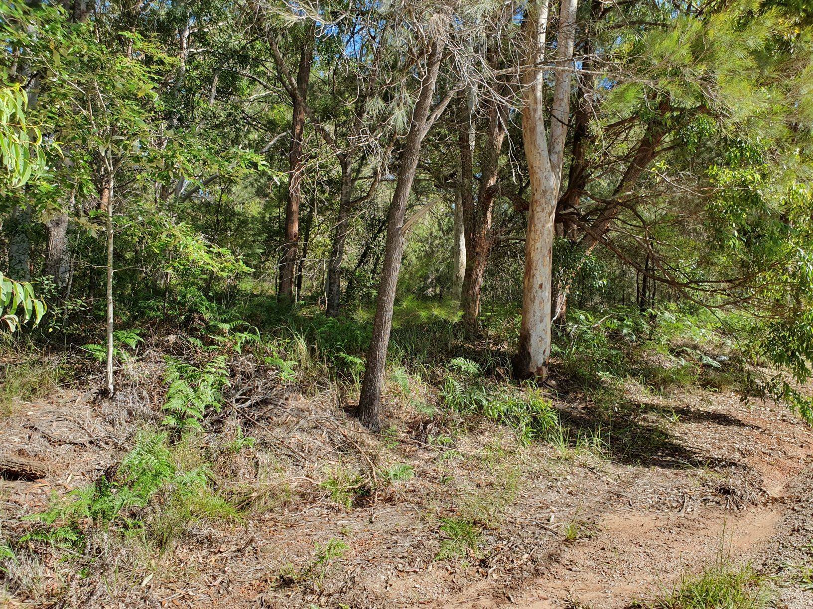 14 Calwood Crescent, Russell Island, Russell Island - Thumbnail 6
