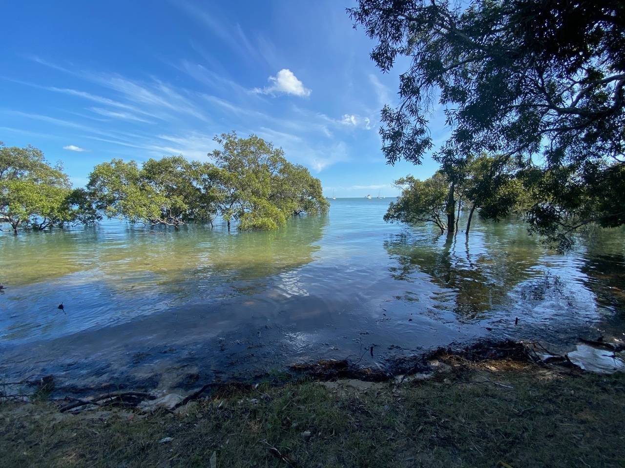 48 Attunga St, Macleay Island, Macleay Island - Thumbnail 3