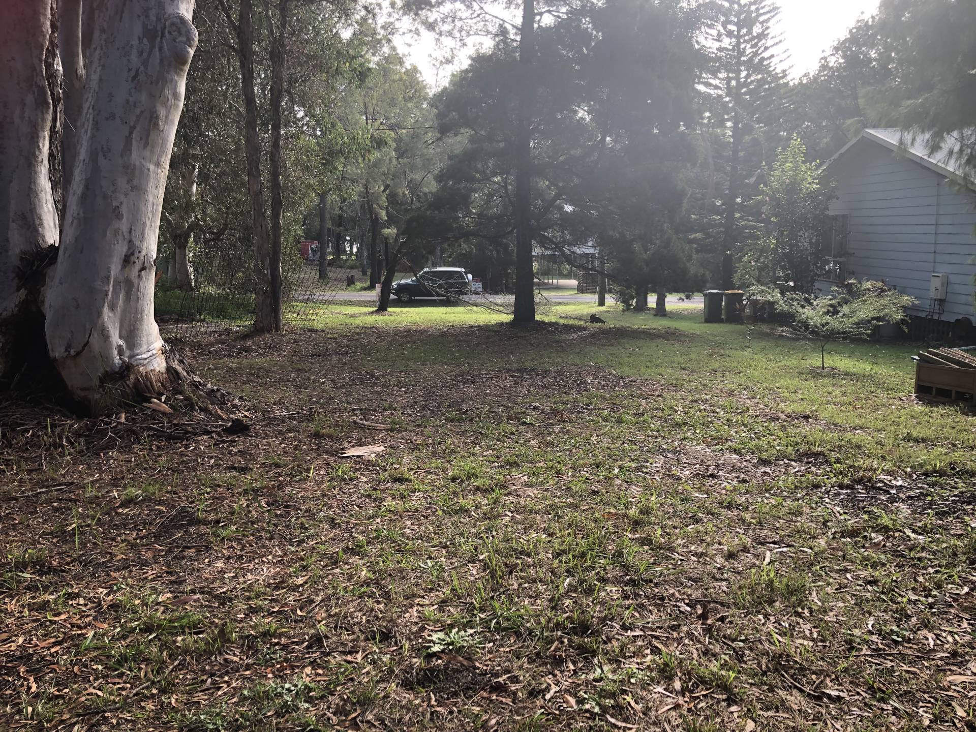 12 Eumina St, Macleay Island, Macleay Island - Thumbnail 3