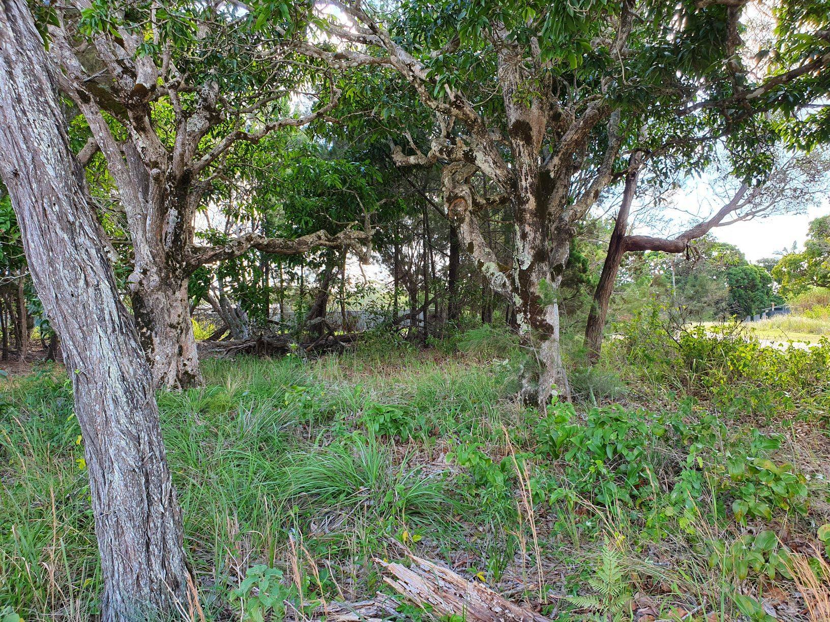 45 Barcelona Tce, Russell Island, Russell Island - Thumbnail 7