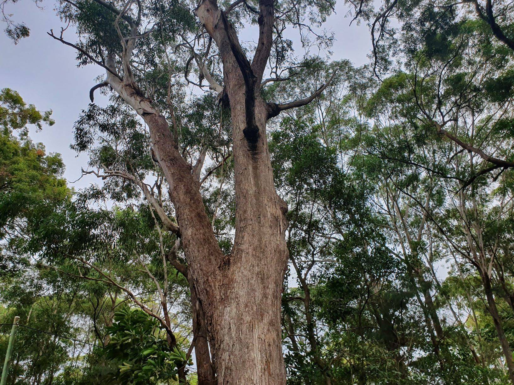 39 Angorra St, Russell Island, Russell Island - Thumbnail 7