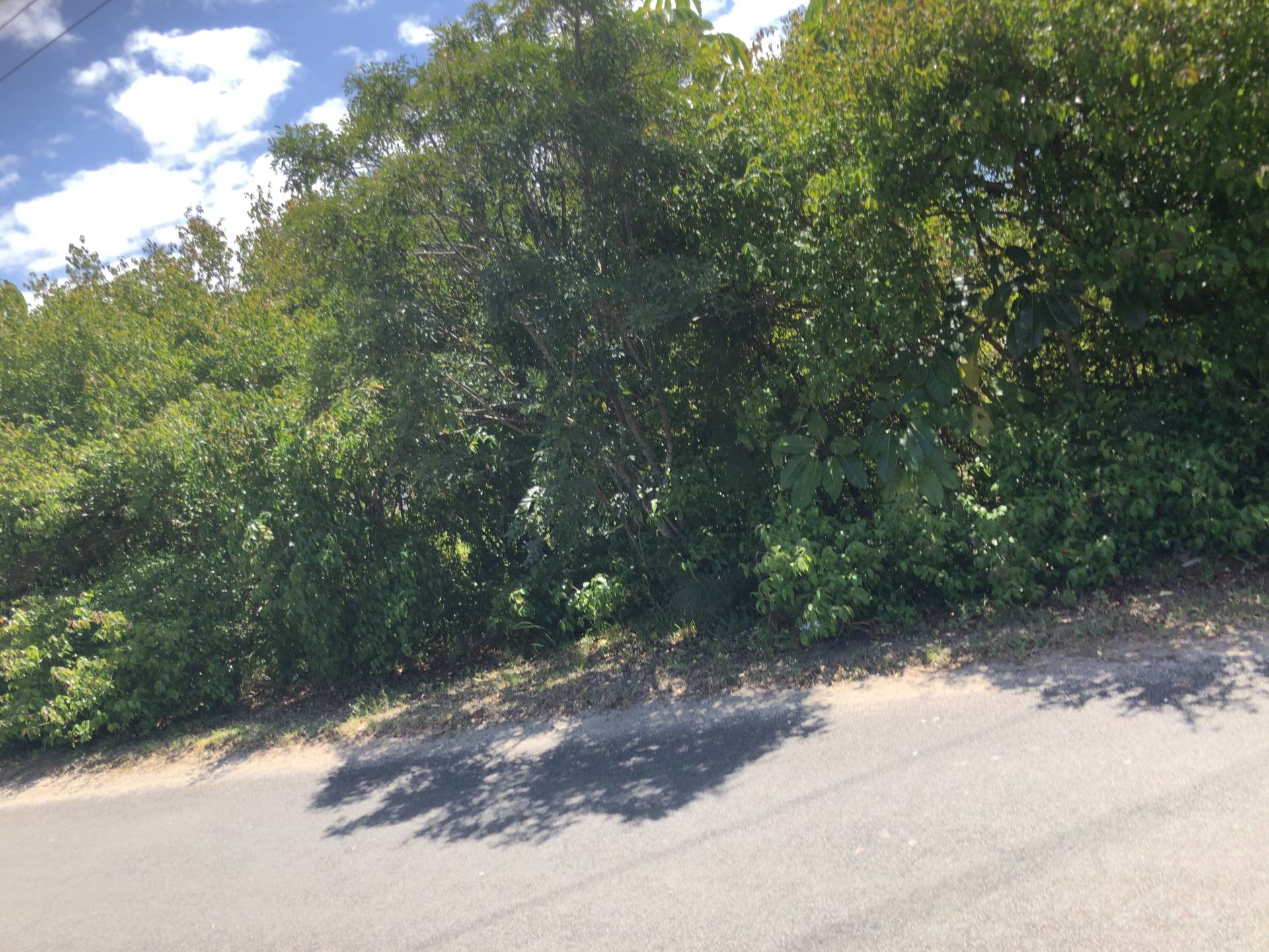27 Scotts Rd, Macleay Island, Macleay Island - Thumbnail 2