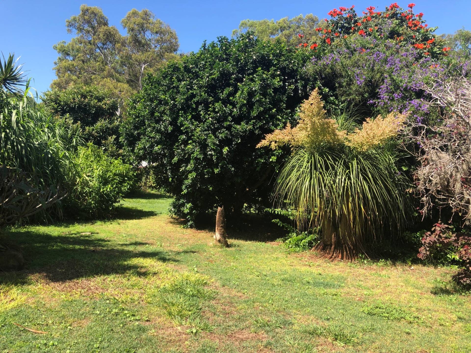 10 Eastbourne Tce, Macleay Island, Macleay Island - Thumbnail 4