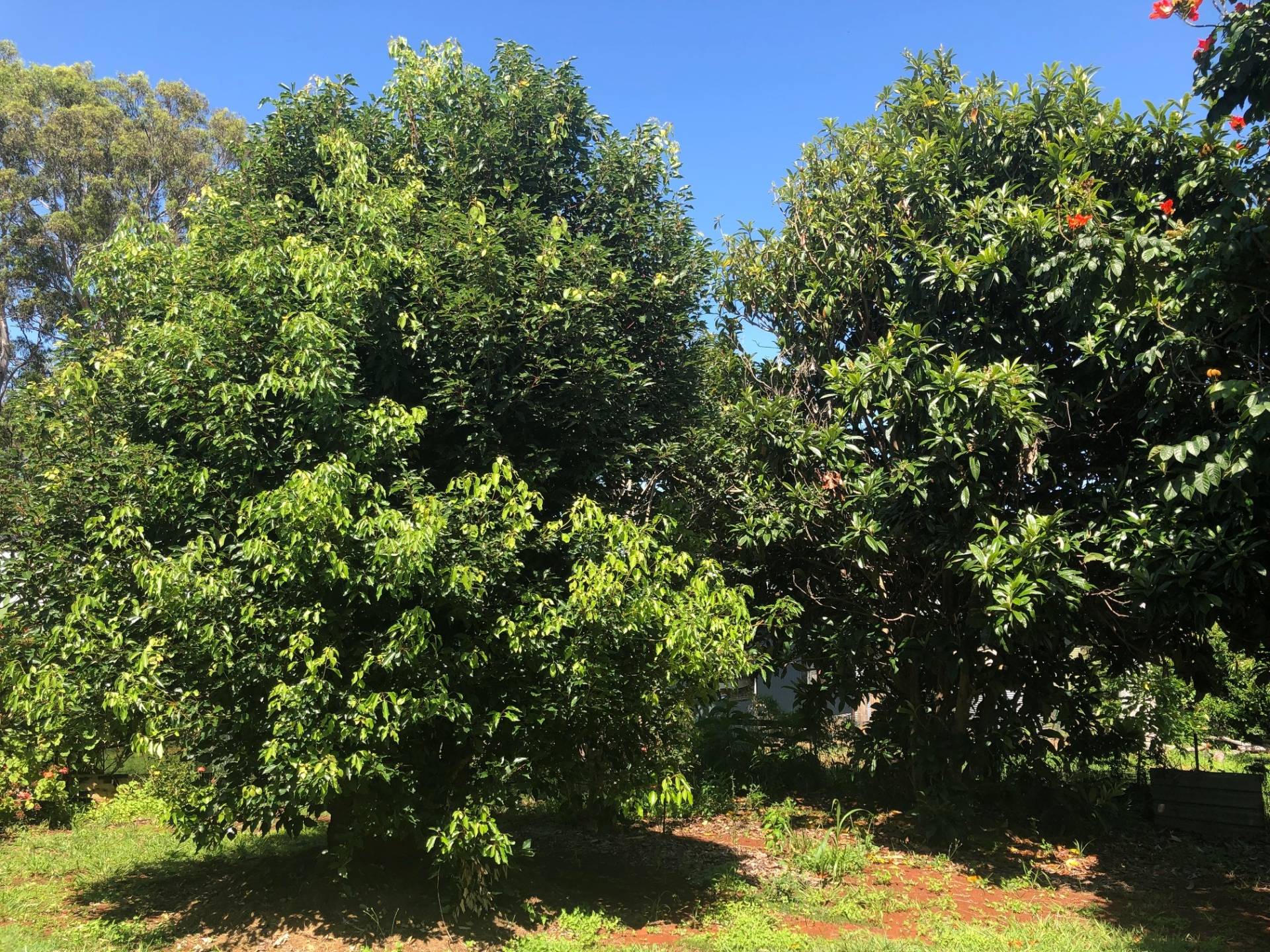 10 Eastbourne Tce, Macleay Island, Macleay Island - Thumbnail 5