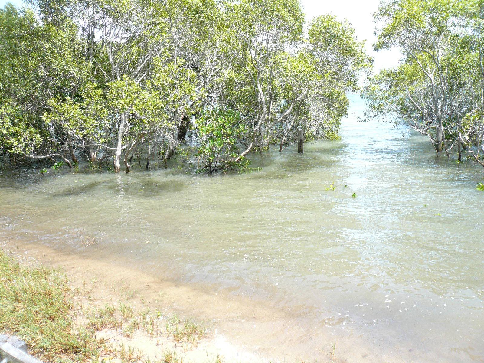 3 Attunga Street, Macleay Island, Macleay Island - Thumbnail 3