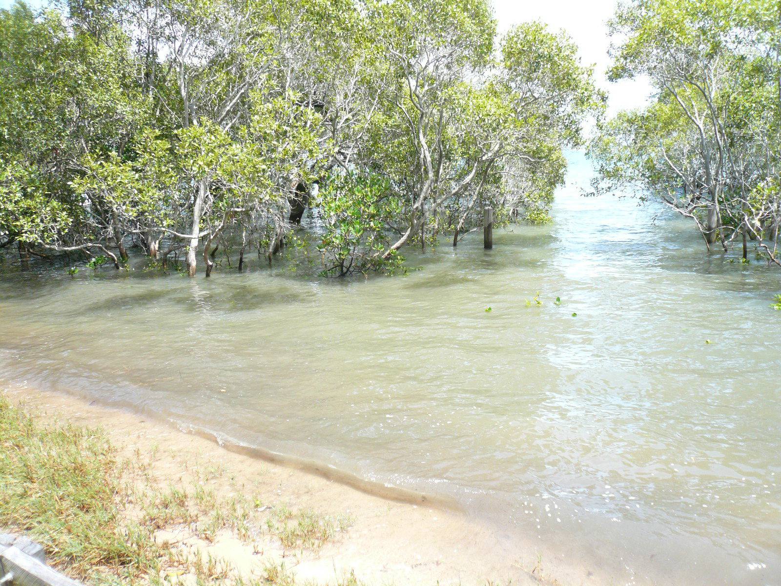 3 Attunga Street, Macleay Island, Macleay Island - Thumbnail 2