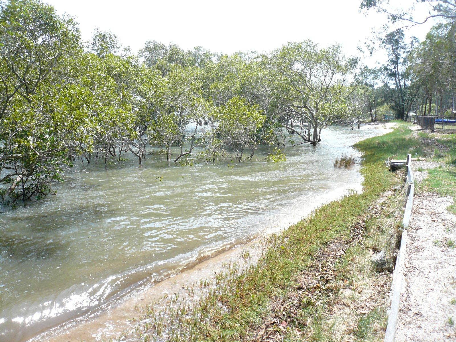 3 Attunga Street, Macleay Island, Macleay Island - Thumbnail 5