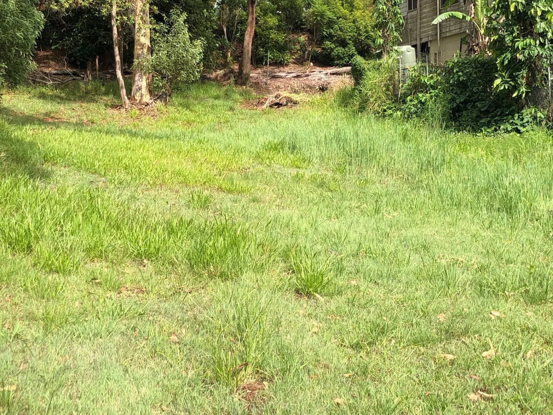 23 Golden Sands Bvd, Macleay Island, Macleay Island - Thumbnail 5