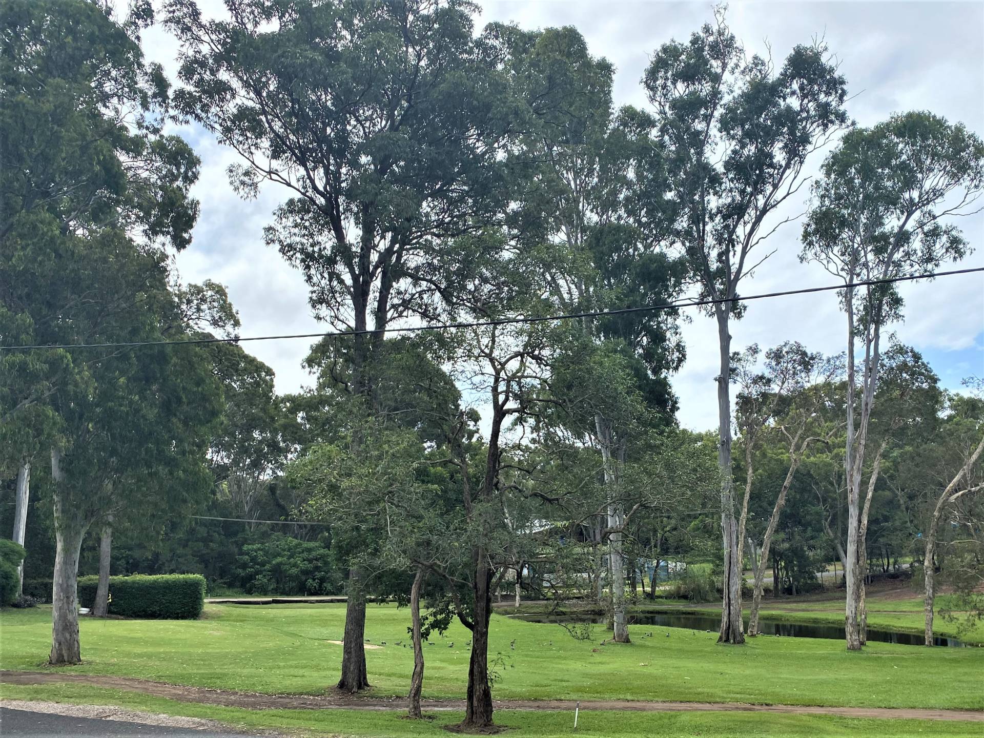 12 Gordon Rd, Macleay Island, Macleay Island - Thumbnail 2