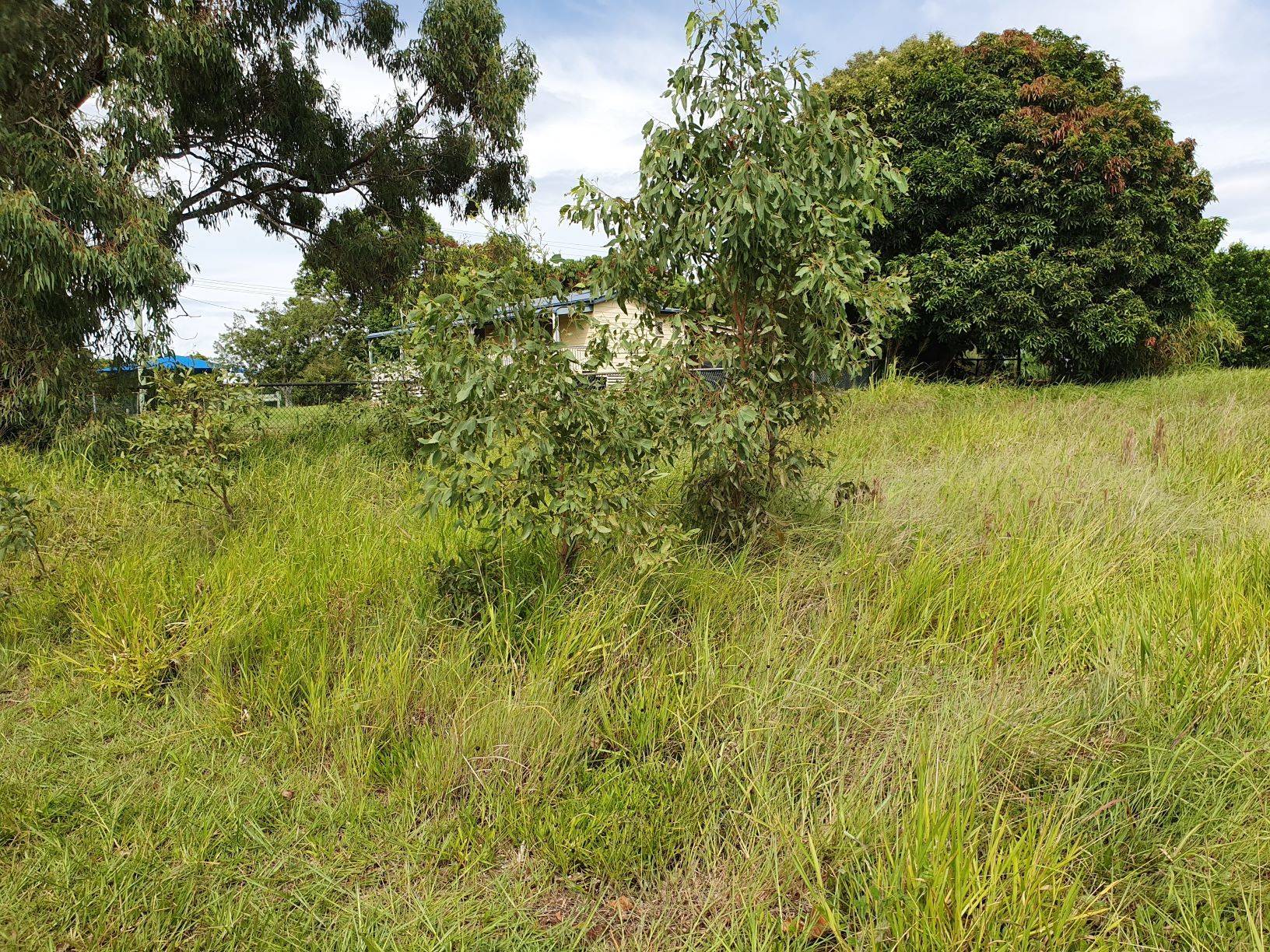 143 High St, Russell Island, Russell Island - Thumbnail 4