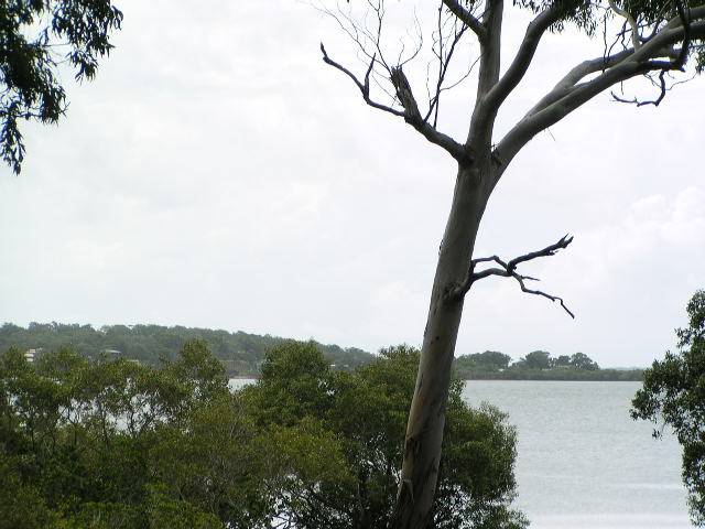 33 Blue Bay Crescent, Macleay Island, Macleay Island - Thumbnail 4