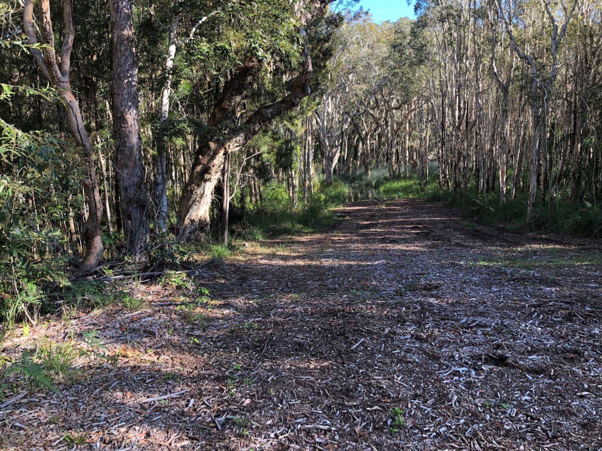 8-10 Garnet St, Macleay Island, Macleay Island - Thumbnail 3
