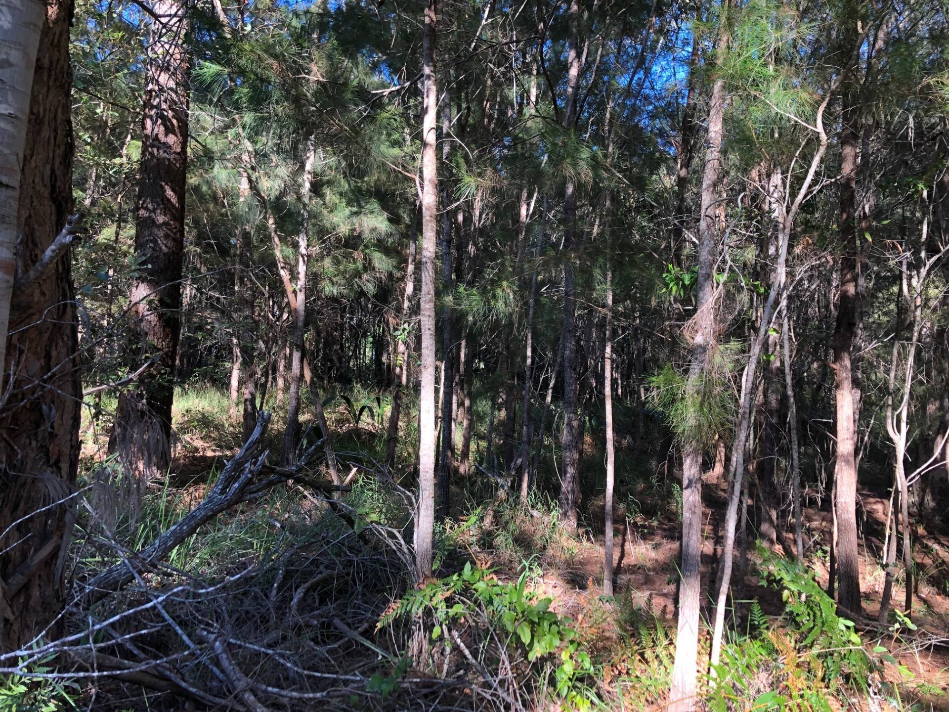 8-10 Garnet St, Macleay Island, Macleay Island - Thumbnail 4