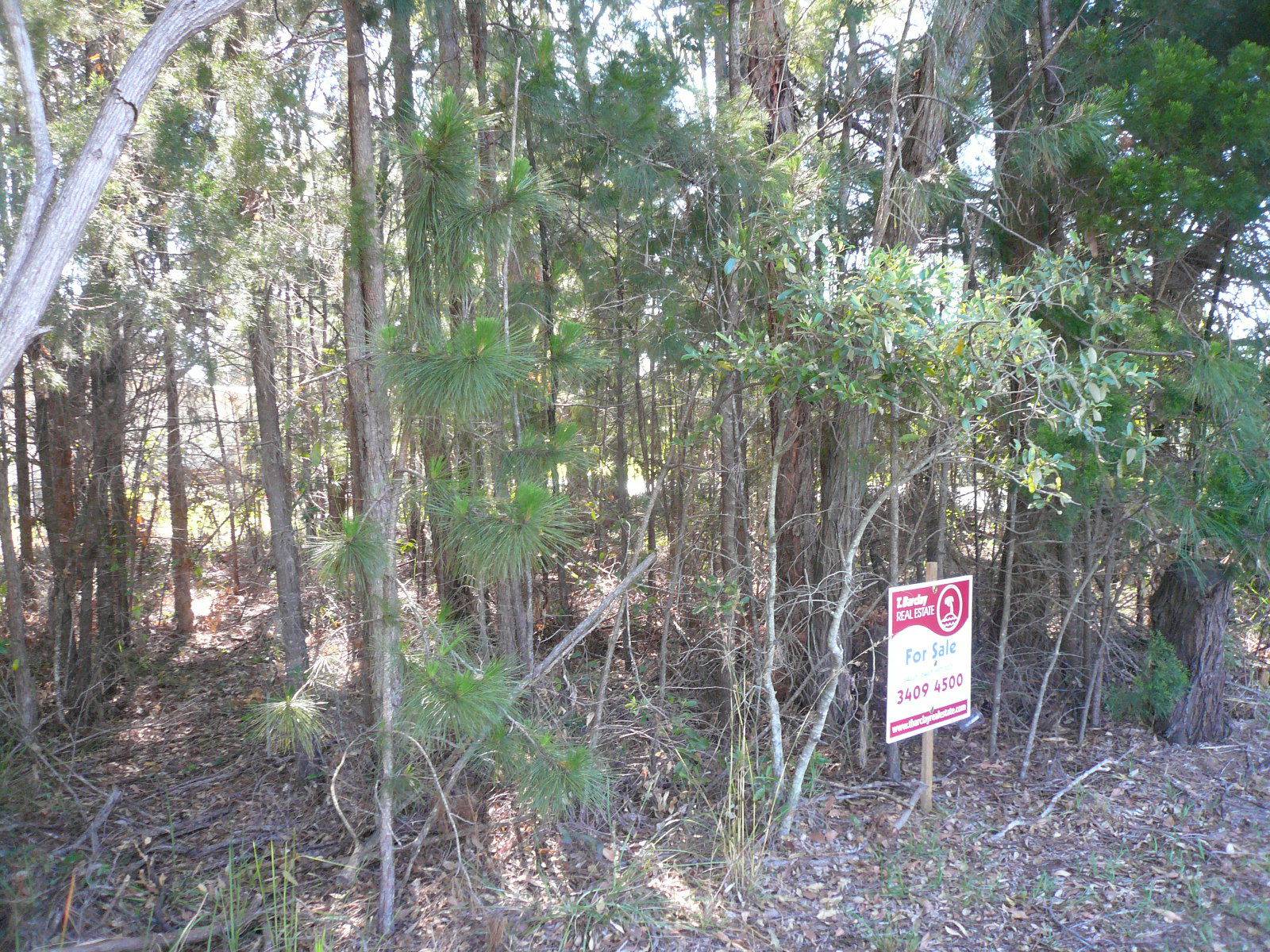 2 Hamilton Parade, Macleay Island, Macleay Island - Thumbnail 3