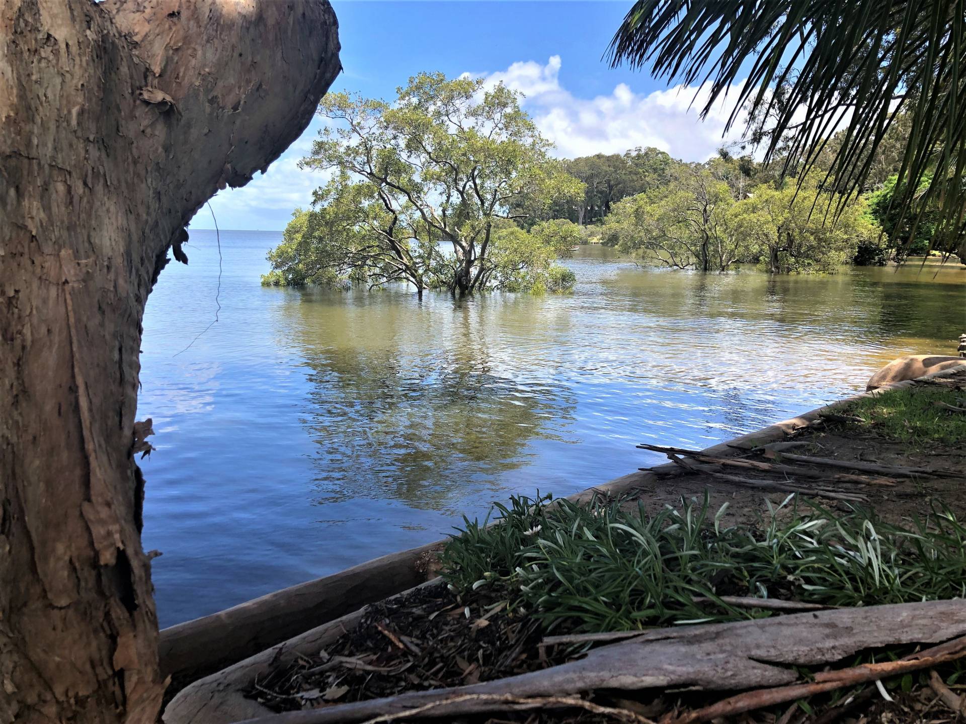 11 Coondooroopa Dr, Macleay Island, Macleay Island - Thumbnail 3