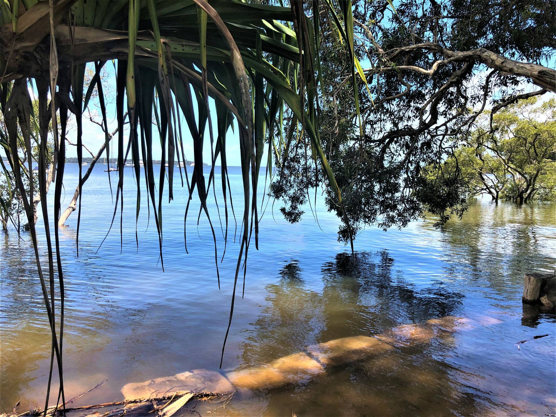 11 Coondooroopa Dr, Macleay Island, Macleay Island - Thumbnail 4