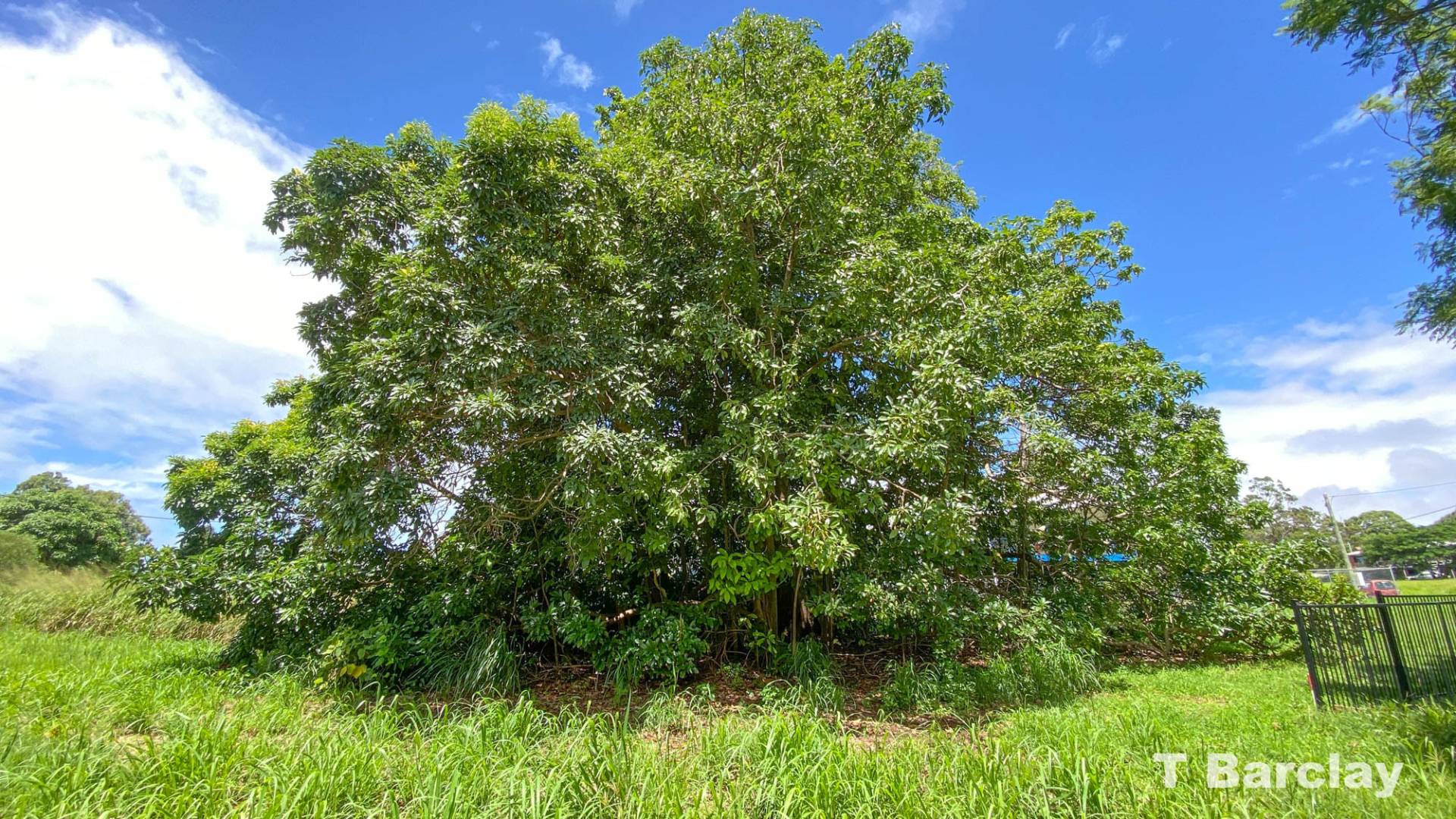 22 Bayswater Rd, Russell Island, Russell Island - Thumbnail 8
