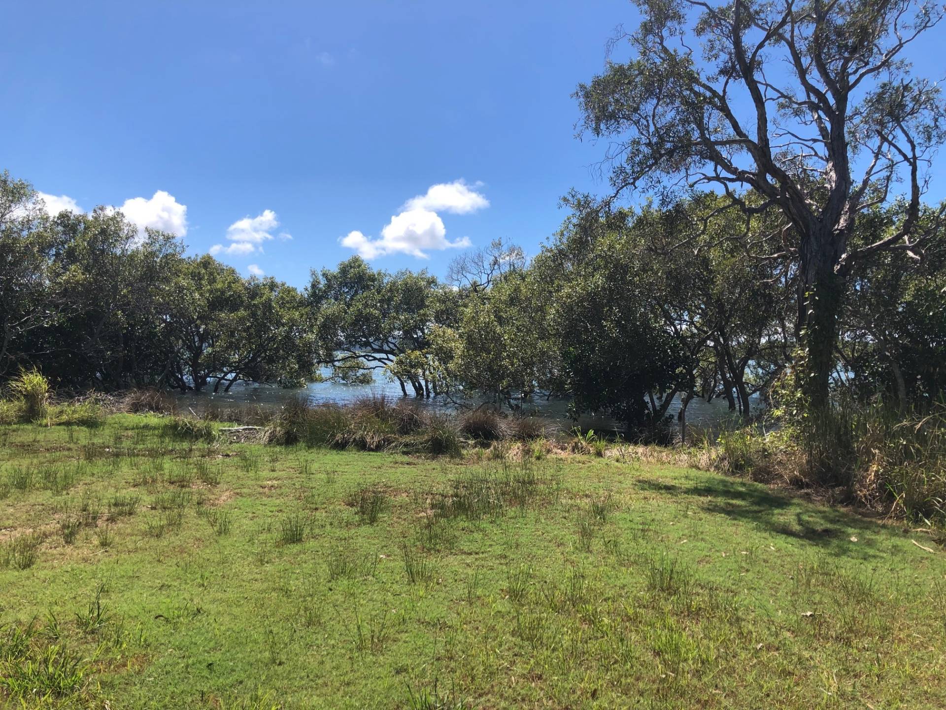 38 Nunkeri Dr, Macleay Island, Macleay Island - Thumbnail 6