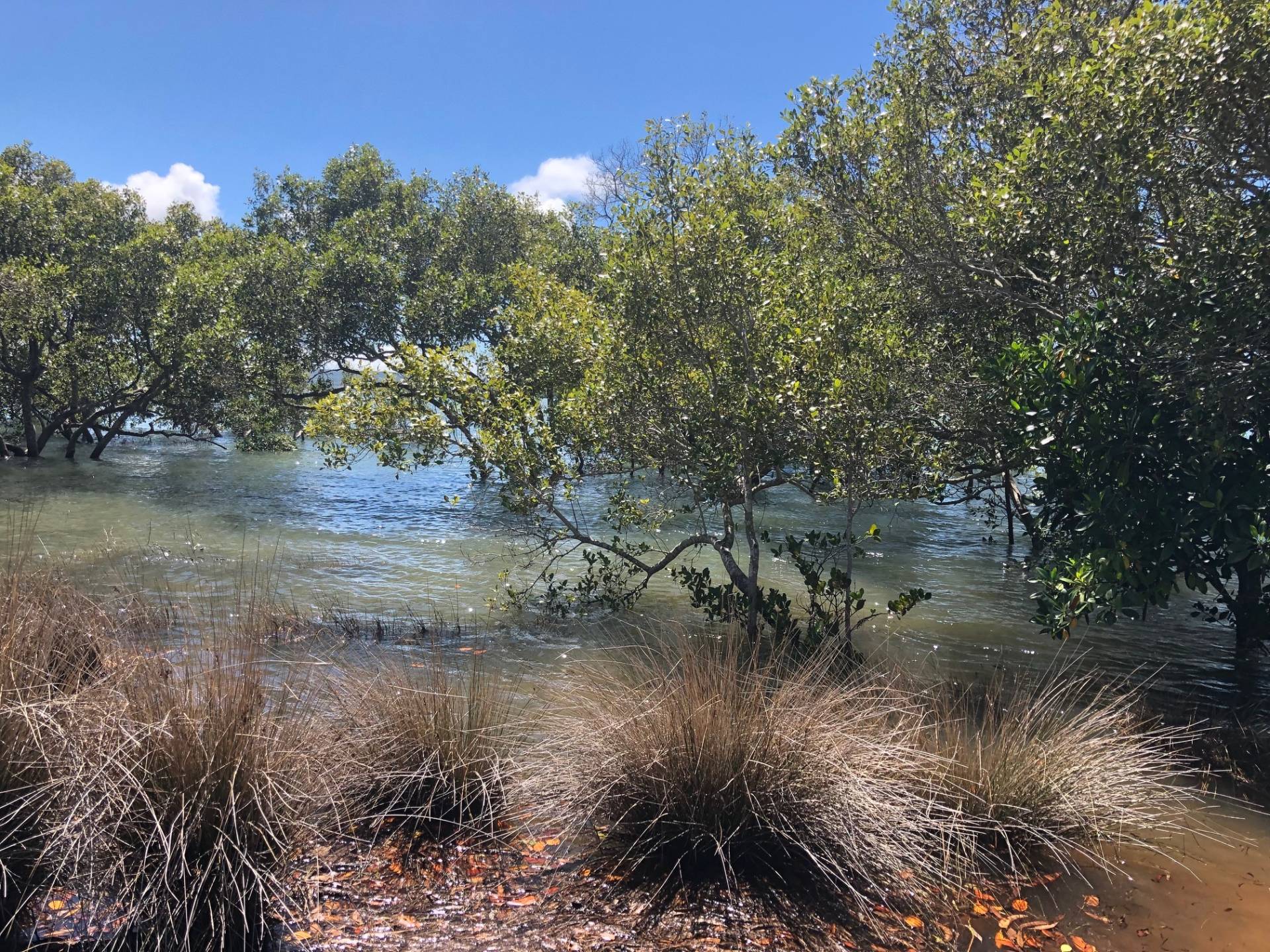 38 Nunkeri Dr, Macleay Island, Macleay Island - Thumbnail 7