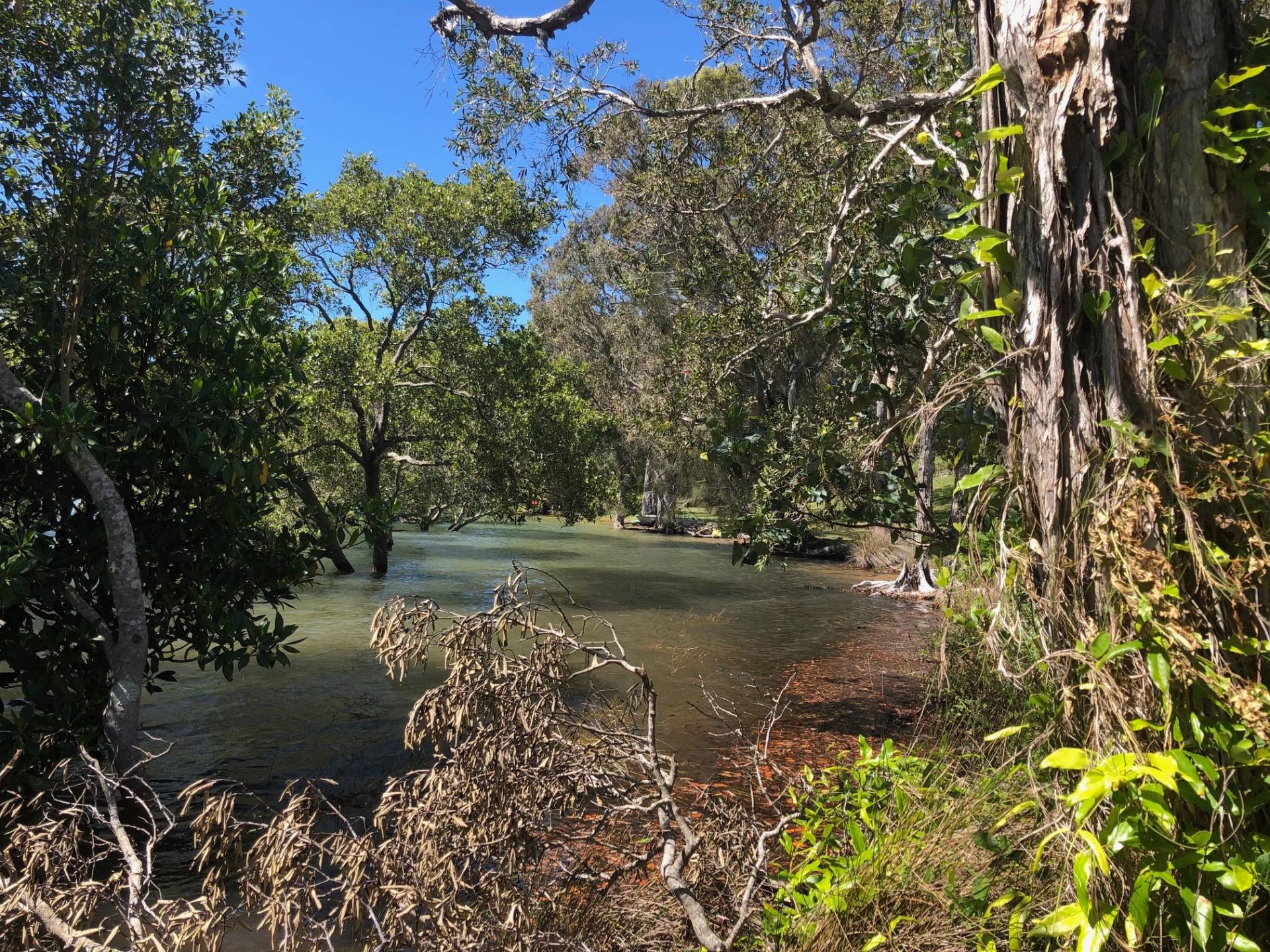 38 Nunkeri Dr, Macleay Island, Macleay Island - Thumbnail 8