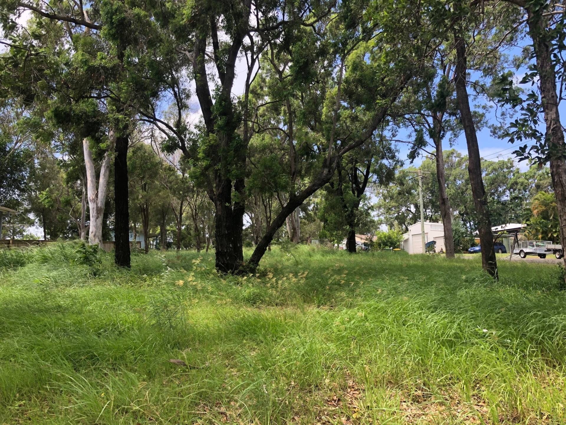 10 Waterside Dr, Macleay Island, Macleay Island - Thumbnail 2