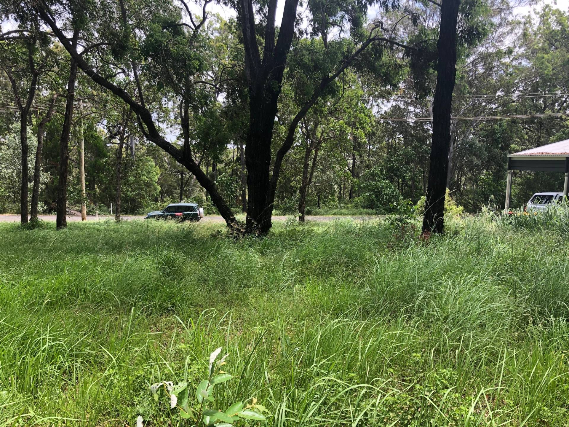 10 Waterside Dr, Macleay Island, Macleay Island - Thumbnail 3