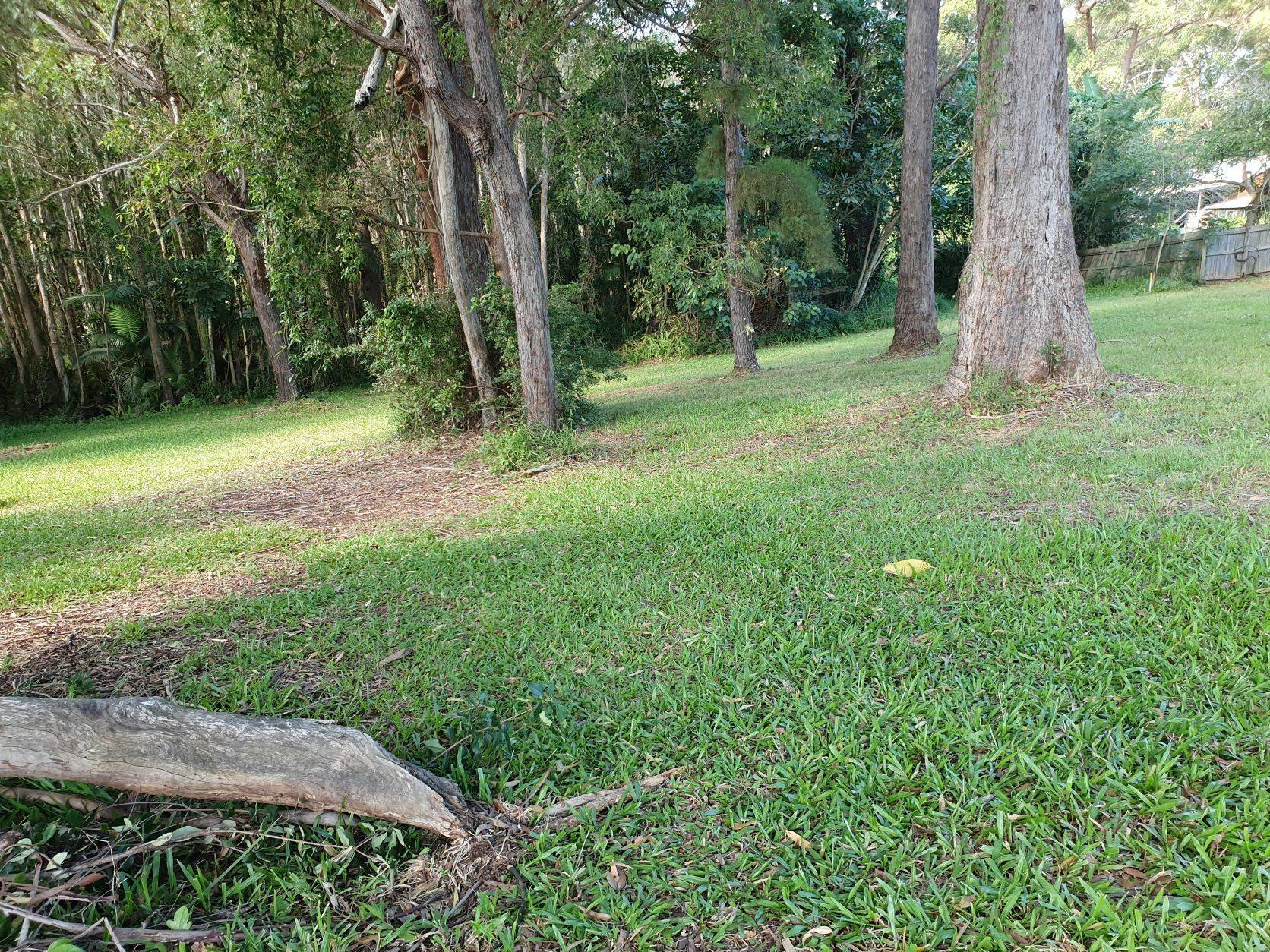 6 Douglas St, Russell Island, Russell Island - Thumbnail 3