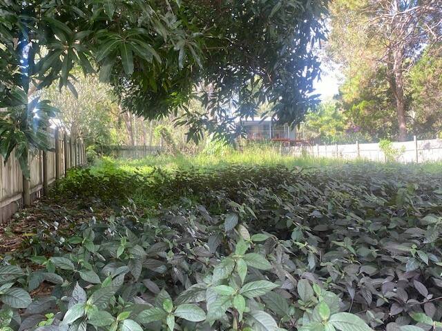 16 Alexander Street, Macleay Island, Macleay Island - Thumbnail 2