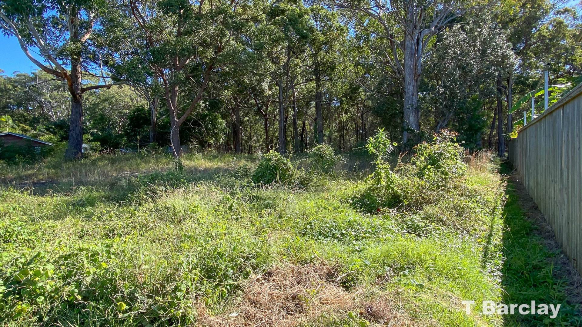 17 Cutter St, Russell Island, Russell Island - Thumbnail 5