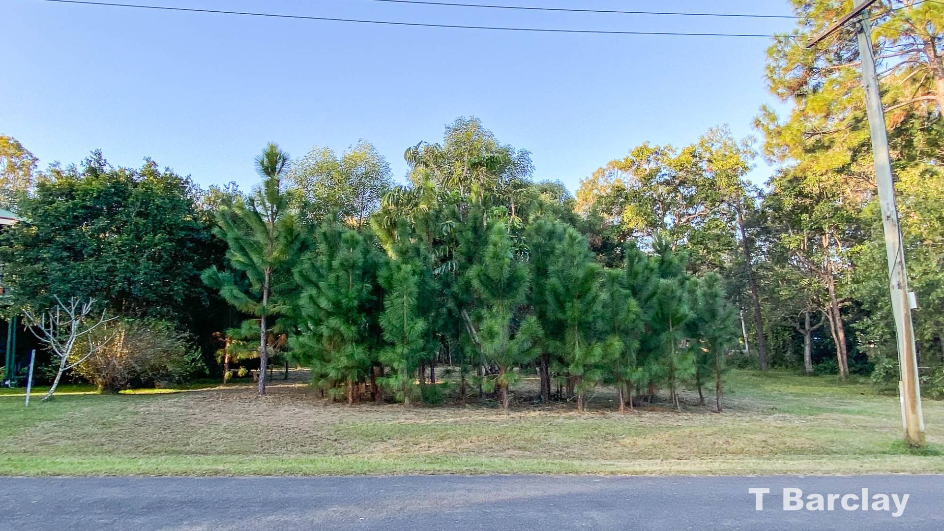 15 Halcyon St, Lamb Island, Lamb Island - Thumbnail 5