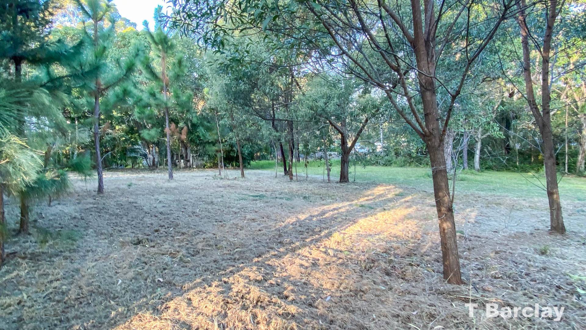 15 Halcyon St, Lamb Island, Lamb Island - Thumbnail 6