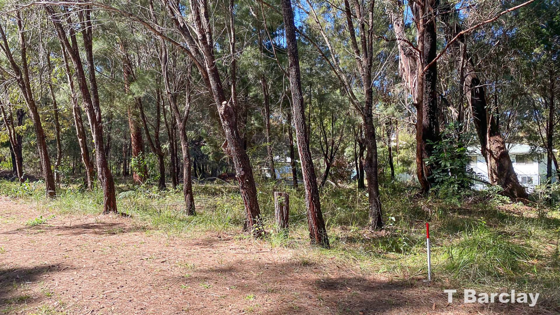 19 Catamaran St, Russell Island, Russell Island - Thumbnail 4